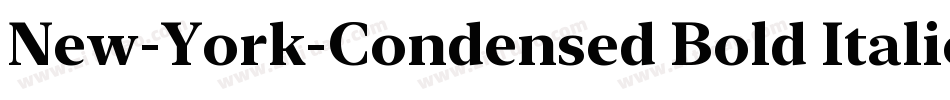 New-York-Condensed Bold Italic字体转换 New-York-Condensed Bold Italic字体转换